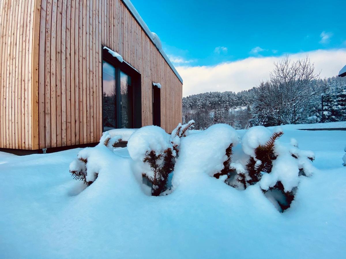 Holiday home Pieniny Szczawnica